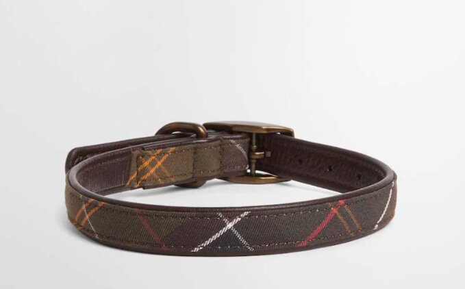 Tartan hundehalsbånd – Classic tartan